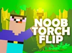 Noob Torch Flip 2D game icon